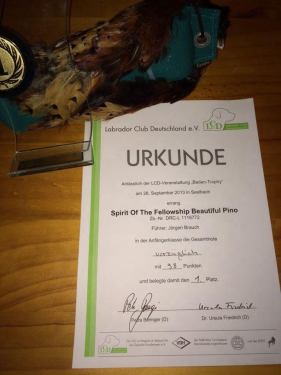 1380074_479380842159560_1276121638_n