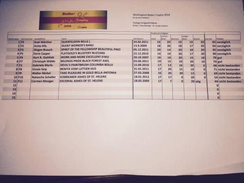 10671227_662951037135872_4819954917915259456_n