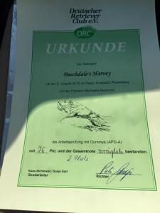 11828628_10205035044335846_2361229607276889801_n (1)