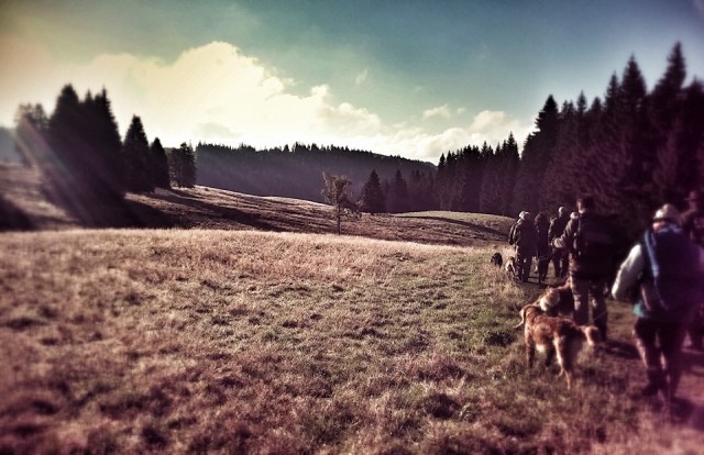 11937448_1671376919766737_9132473583248912893_n