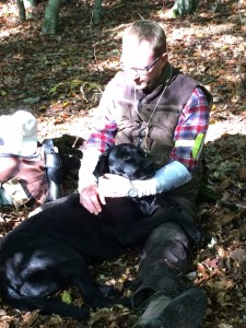 66f5de274a1babbf43d780d6bd72eba8