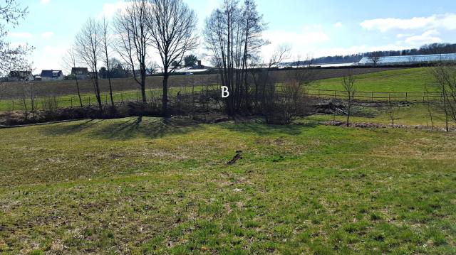 12891563_1021617014571324_2072923351477873732_o