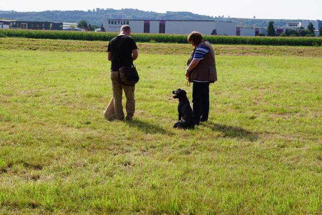 21077736_1405000419597593_274309066258827550_n