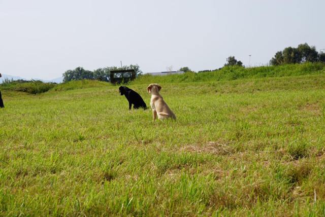 21078833_1405000412930927_7776484104712319205_n